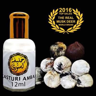 Pati Wangian Kasturi Ambar Minyak Putih Susu